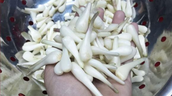 Củ hành và củ kiệu khác nhau thế nào? - Hình 4 Cu hanh va cu kieu khac nhau the nao?-Hinh-4