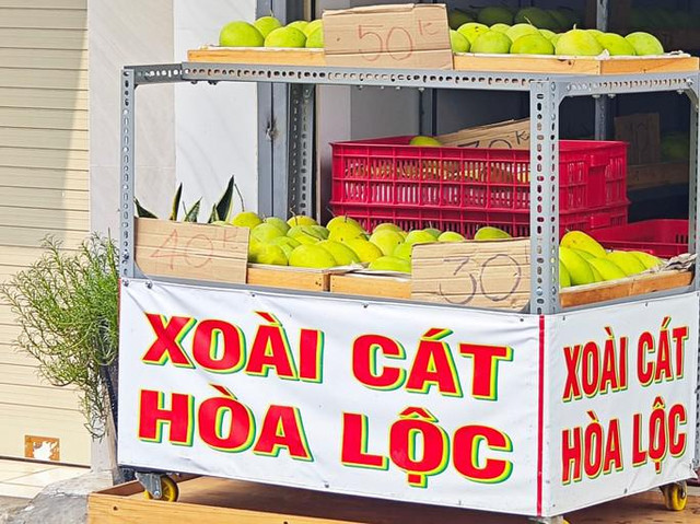 Xoài cát Hòa Lộc giá rẻ chưa từng có - Hình 4 Xoai cat Hoa Loc gia re chua tung co-Hinh-4