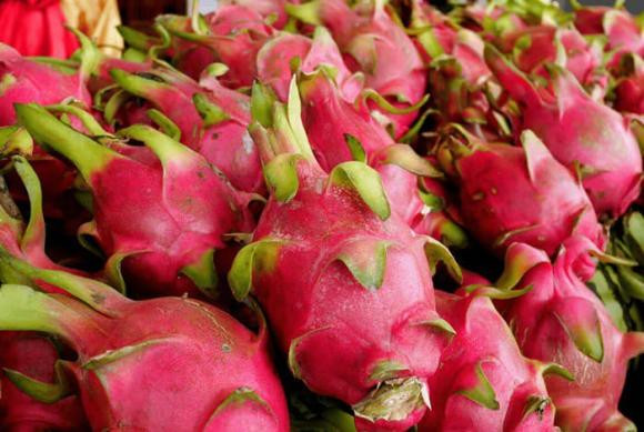 Thanh long chọn quả dài hay tròn? Chủ vườn chỉ cách lựa quả ngon - Hình 4 Thanh long chon qua dai hay tron? Chu vuon chi cach lua qua ngon-Hinh-4