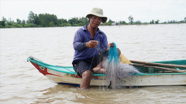 Chơi vơi mùa nước nổi: Đồng Tháp Mười đói tôm, cá Choi voi mua nuoc noi: Dong Thap Muoi doi tom, ca