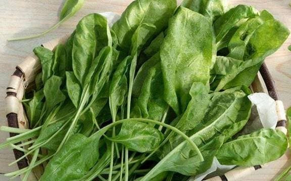 Ăn 6 loại thực phẩm này, bệnh dạ dày không dám đến cửa - Hình 3 An 6 loai thuc pham nay, benh da day khong dam den cua-Hinh-3