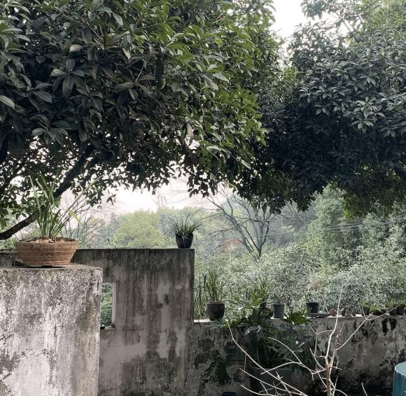 Đừng để 6 loại người này đến nhà, nhất định phải nhớ! - Hình 2 Dung de 6 loai nguoi nay den nha, nhat dinh phai nho!-Hinh-2