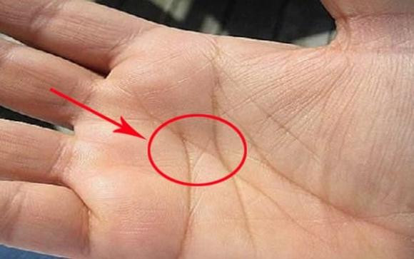 4 dấu hiệu trong lòng bàn tay chứng tỏ số phú quý giàu sang 4 dau hieu trong long ban tay chung to so phu quy giau sang