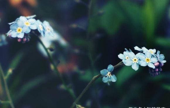 Phụ nữ sinh tháng mấy âm lịch thì may mắn vượng phu ích tử? - Hình 2 Phu nu sinh thang may am lich thi may man vuong phu ich tu?-Hinh-2