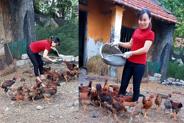 Nghề tay trái 'hái ra tiền' của các thầy cô trên đảo Quan Lạn - Hình 3 Nghe tay trai 'hai ra tien' cua cac thay co tren dao Quan Lan-Hinh-3
