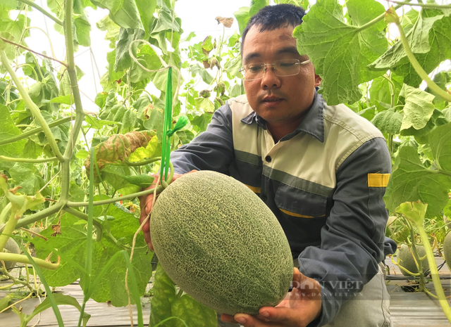 Anh nông dân bỏ 3 tỷ làm nông nghiệp công nghệ cao trồng đủ quả ngon - Hình 7 Anh nong dan bo 3 ty lam nong nghiep cong nghe cao trong du qua ngon-Hinh-7