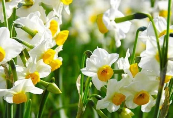 Từ tháng 3, tài lộc tăng vụt, 3 cung hoàng đạo kiếm bộn tiền Tu thang 3, tai loc tang vut, 3 cung hoang dao kiem bon tien