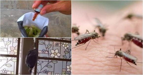 Cách làm túi đuổi muỗi treo cửa sổ hiệu quả mà không độc hại - Hình 4 Cach lam tui duoi muoi treo cua so hieu qua ma khong doc hai-Hinh-4
