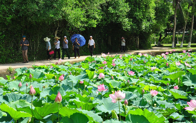 10 địa điểm du lịch Nghệ An không thể bỏ lỡ - Hình 11 10 dia diem du lich Nghe An khong the bo lo-Hinh-11