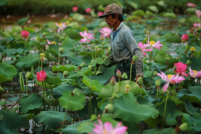 Điểm đến trong nước ngập sắc hoa dịp hè - Hình 7 Diem den trong nuoc ngap sac hoa dip he-Hinh-7
