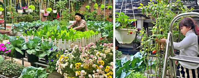 Kế toán về hưu biến rác thải thành khu vườn xanh tươi hoa trái - Hình 5 Ke toan ve huu bien rac thai thanh khu vuon xanh tuoi hoa trai-Hinh-5