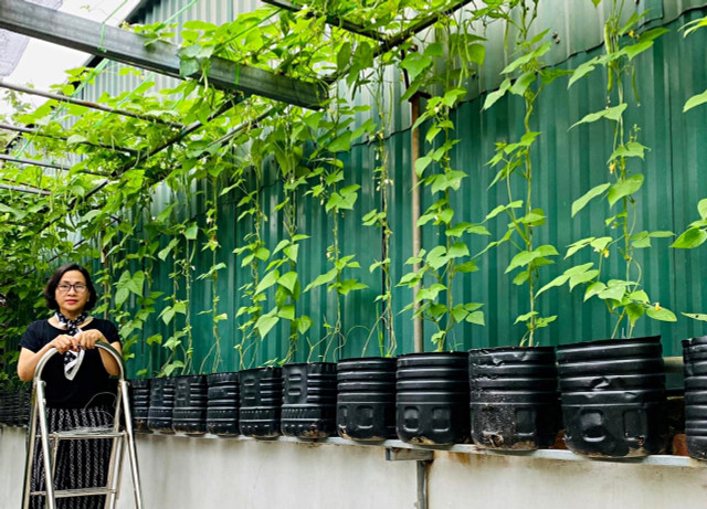 Kế toán về hưu biến rác thải thành khu vườn xanh tươi hoa trái - Hình 4 Ke toan ve huu bien rac thai thanh khu vuon xanh tuoi hoa trai-Hinh-4