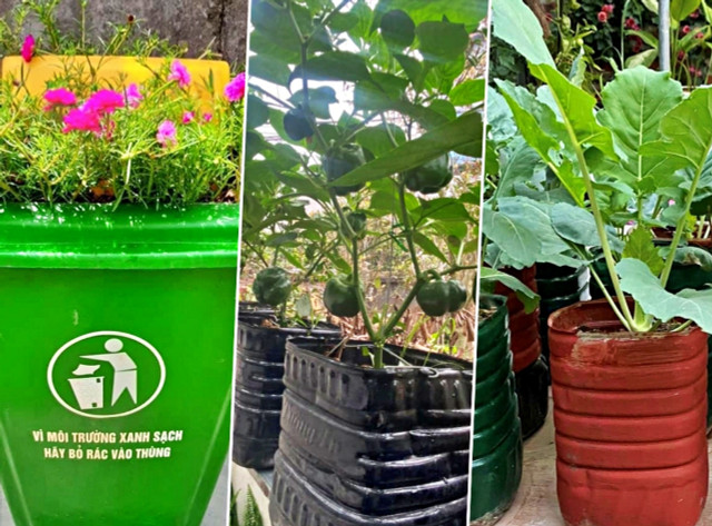 Kế toán về hưu biến rác thải thành khu vườn xanh tươi hoa trái - Hình 3 Ke toan ve huu bien rac thai thanh khu vuon xanh tuoi hoa trai-Hinh-3