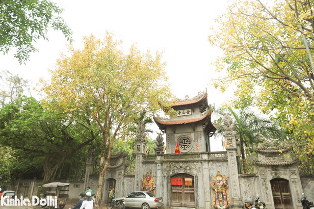 Ngắm cây thay lá vàng ươm trên “con đường lãng mạn nhất Hà Nội” - Hình 13 Ngam cay thay la vang uom tren “con duong lang man nhat Ha Noi”-Hinh-13