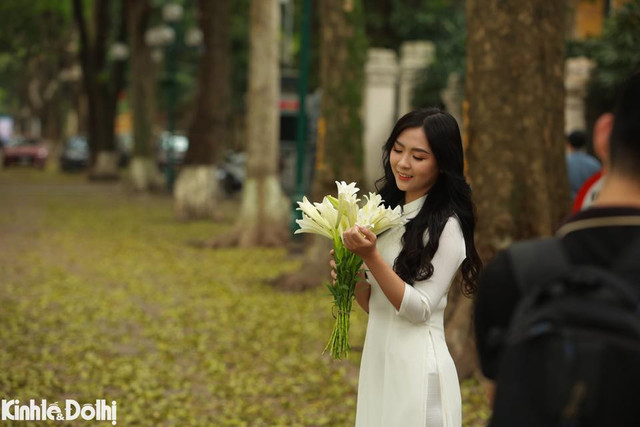 Ngắm cây thay lá vàng ươm trên “con đường lãng mạn nhất Hà Nội” - Hình 6 Ngam cay thay la vang uom tren “con duong lang man nhat Ha Noi”-Hinh-6