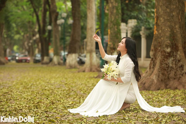 Ngắm cây thay lá vàng ươm trên “con đường lãng mạn nhất Hà Nội” - Hình 8 Ngam cay thay la vang uom tren “con duong lang man nhat Ha Noi”-Hinh-8