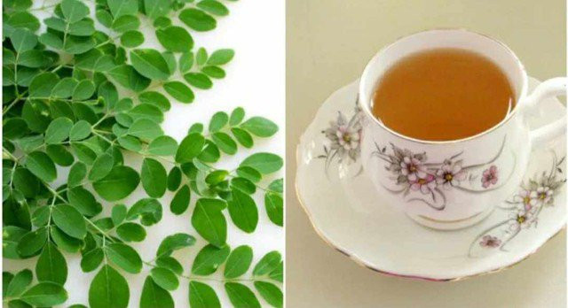 Loại rau giàu canxi gấp 4 lần sữa, vitamin C gấp 7 lần cam - Hình 8 Loai rau giau canxi gap 4 lan sua, vitamin C gap 7 lan cam-Hinh-8