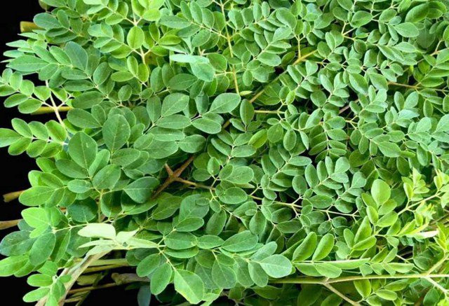 Loại rau giàu canxi gấp 4 lần sữa, vitamin C gấp 7 lần cam Loai rau giau canxi gap 4 lan sua, vitamin C gap 7 lan cam