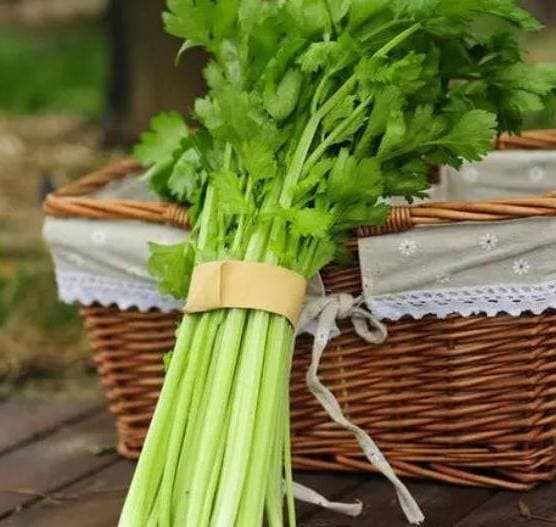 Tại sao không nên ăn lá cần tây? - Hình 3 Tai sao khong nen an la can tay?-Hinh-3