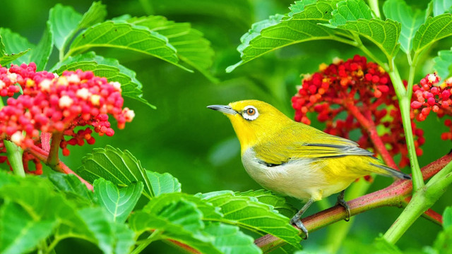 Quý cô sinh ngày Âm lịch này phúc lộc sâu dày, con cháu xuất sắc - Hình 3 Quy co sinh ngay Am lich nay phuc loc sau day, con chau xuat sac-Hinh-3