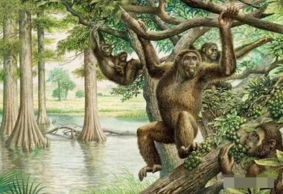 Con người đầu tiên trên thế giới đã ra đời như thế nào? Con nguoi dau tien tren the gioi da ra doi nhu the nao?