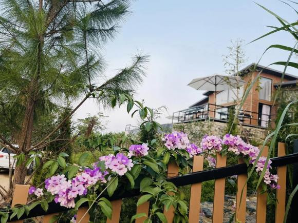 Vợ chồng trẻ 'hô biến' mảnh đất đầy cỏ dại, thành khu nhà nghỉ dưỡng - Hình 2 Vo chong tre 'ho bien' manh dat day co dai, thanh khu nha nghi duong-Hinh-2