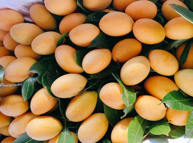 Thanh trà Thái "nhuộm vàng" chợ Việt, giá cao vẫn tấp nập khách - Hình 2 Thanh tra Thai