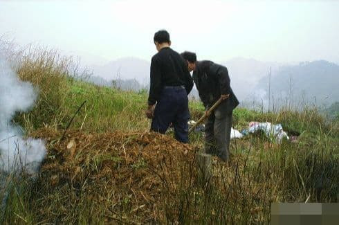 Tết Thanh minh, nhớ "3 điều nên làm, 3 điều nên tránh" Tet Thanh minh, nho