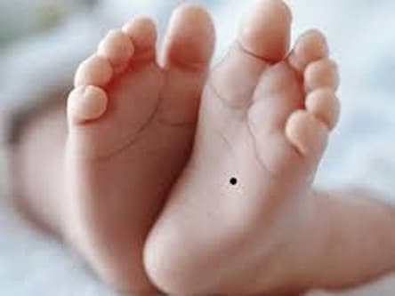 Đứa trẻ có nốt ruồi ở vị trí này là "nam rồng nữ phượng" - Hình 3 Dua tre co not ruoi o vi tri nay la