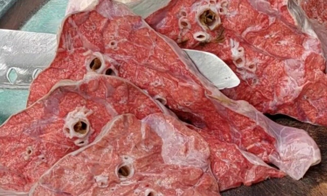 Bộ phận độc hại của con bò, giá rẻ cũng không nên mua Bo phan doc hai cua con bo, gia re cung khong nen mua