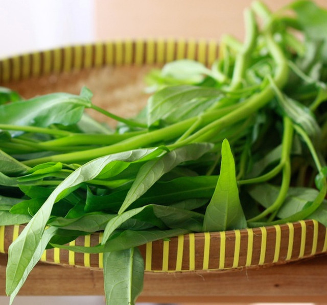 Cách trồng rau muống bằng cành lớn nhanh như thổi - Hình 7 Cach trong rau muong bang canh lon nhanh nhu thoi-Hinh-7