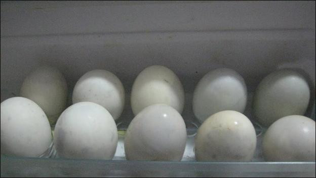 Cách đơn giản chọn mua trứng vịt lộn ngon và bổ dưỡng nhất - Hình 6 Cach don gian chon mua trung vit lon ngon va bo duong nhat-Hinh-6