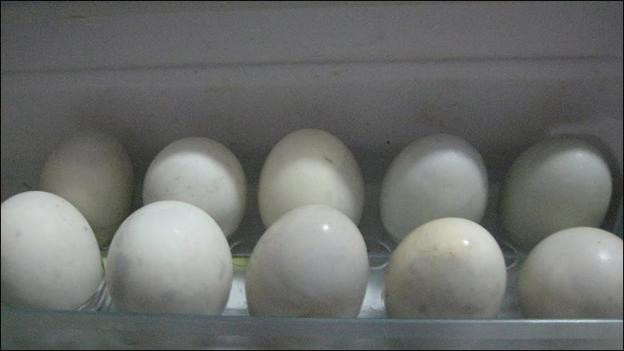 Cách đơn giản chọn mua trứng vịt lộn ngon và bổ dưỡng nhất - Hình 9 Cach don gian chon mua trung vit lon ngon va bo duong nhat-Hinh-9