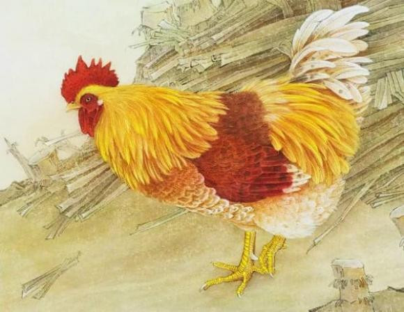 Dậu sinh năm nào như phượng hoàng giữa muôn người? - Hình 2 Dau sinh nam nao nhu phuong hoang giua muon nguoi?-Hinh-2