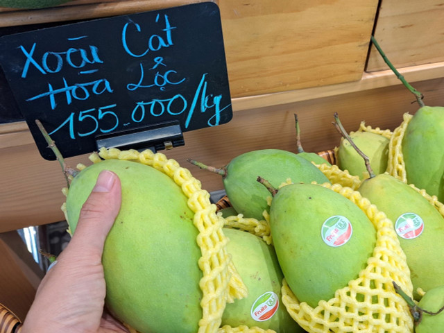 Vì sao xoài cát Hòa Lộc rớt giá còn 30.000 đồng/kg? Vi sao xoai cat Hoa Loc rot gia con 30.000 dong/kg?