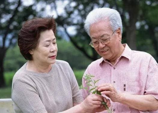 3 kiểu người già này được con cái tranh nhau phụng dưỡng - Hình 4 3 kieu nguoi gia nay duoc con cai tranh nhau phung duong-Hinh-4