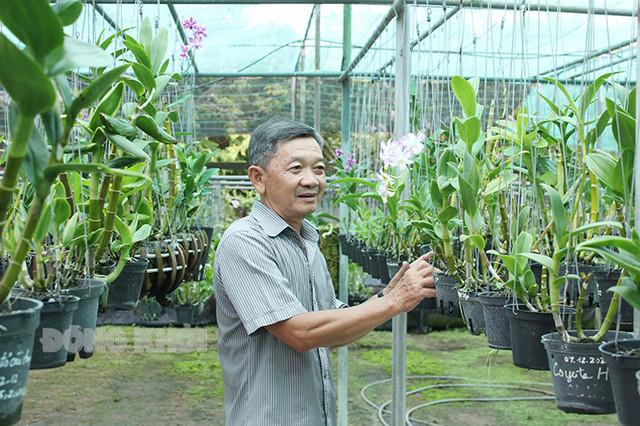 Trồng lan đột biến, nghệ nhân ở Bến Tre bán giá 1-2 triệu/chậu Trong lan dot bien, nghe nhan o Ben Tre ban gia 1-2 trieu/chau