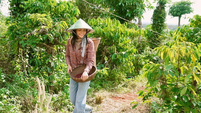 Dàn hoa hậu Việt từng bán hàng online, đi làm giúp việc Dan hoa hau Viet tung ban hang online, di lam giup viec