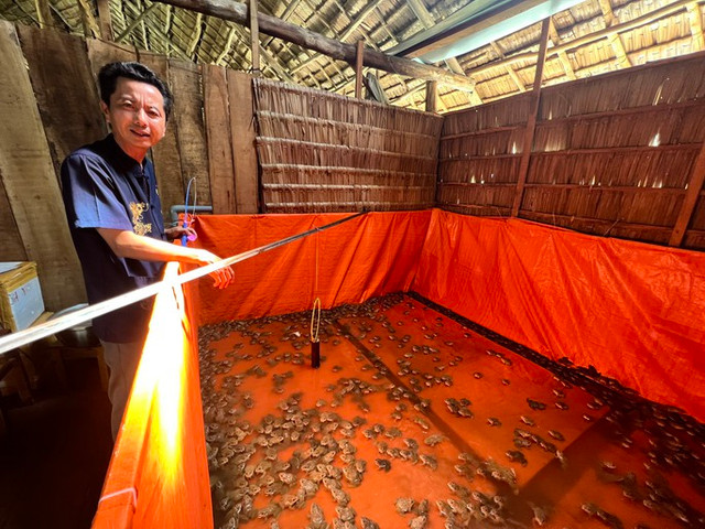 Tuyệt đẹp với mô hình xem "xiếc ếch" lần đầu tại Cần Thơ - Hình 4 Tuyet dep voi mo hinh xem