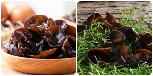 5 thực phẩm "xung khắc" với mộc nhĩ, tuyệt đối không nấu cùng 5 thuc pham