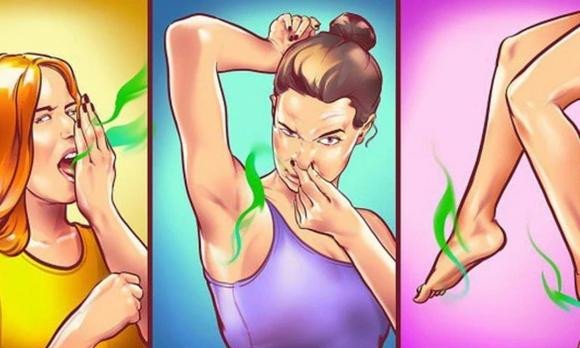 3 loại lá càng dùng cơ thể càng thơm 3 loai la cang dung co the cang thom