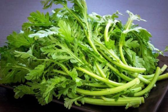 6 loại rau xanh không lo thuốc trừ sâu, tốt cho sức khỏe - Hình 3 6 loai rau xanh khong lo thuoc tru sau, tot cho suc khoe-Hinh-3