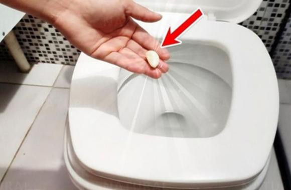Bỏ tỏi vào bồn cầu ban đêm, giúp công việc dọn nhà nhàn Bo toi vao bon cau ban dem, giup cong viec don nha nhan