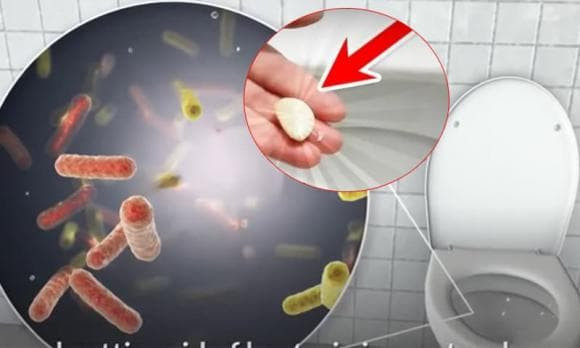 Bỏ tỏi vào bồn cầu ban đêm, giúp công việc dọn nhà nhàn - Hình 2 Bo toi vao bon cau ban dem, giup cong viec don nha nhan-Hinh-2