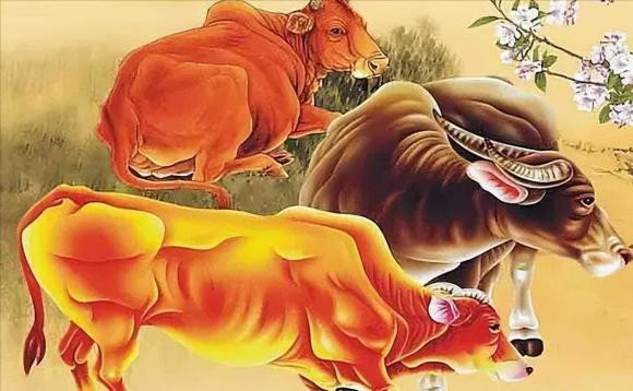 Vợ chồng cùng con giáp được không? - Hình 8 Vo chong cung con giap duoc khong?-Hinh-8