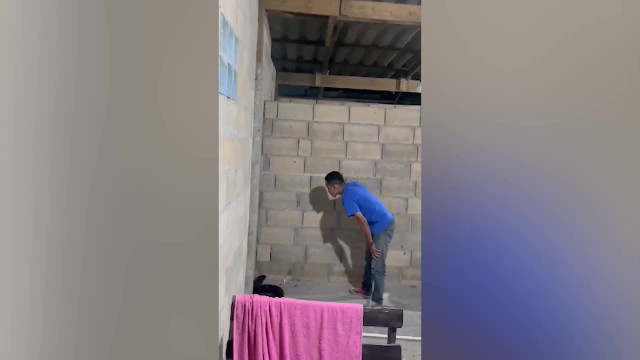 Video: Người đàn ông tóm gọn rắn hổ mang chúa khổng lồ dài 4 mét Video: Nguoi dan ong tom gon ran ho mang chua khong lo dai 4 met