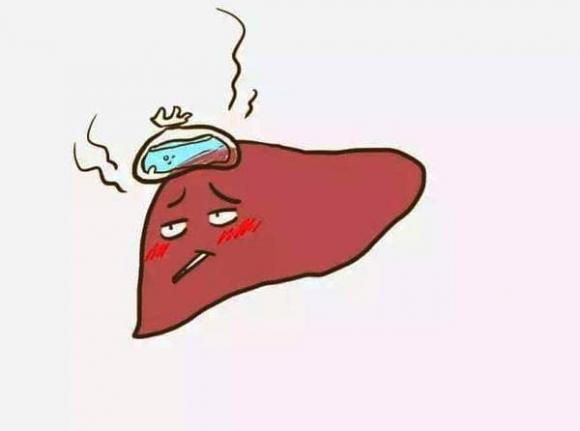 Hai bộ phận cơ thể bị "ngứa ngáy", gan có thể đã "sơ cứng" - Hình 3 Hai bo phan co the bi