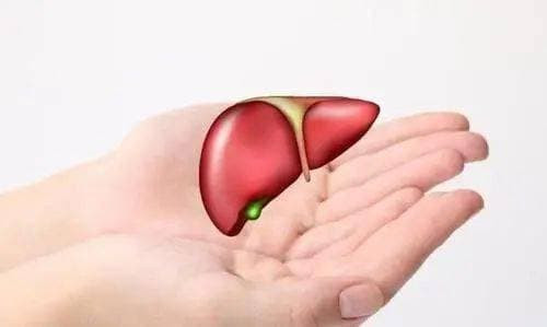 Hai bộ phận cơ thể bị "ngứa ngáy", gan có thể đã "sơ cứng" - Hình 4 Hai bo phan co the bi