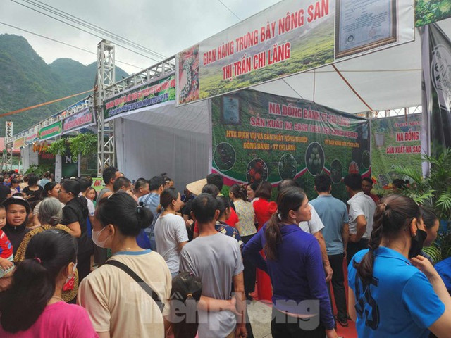 Lạng Sơn: Đấu giá hơn 200 triệu đồng một quả na - Hình 11 Lang Son: Dau gia hon 200 trieu dong mot qua na-Hinh-11