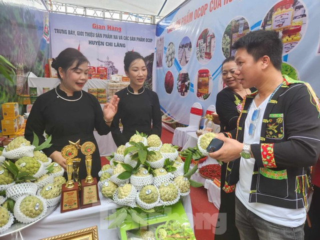 Lạng Sơn: Đấu giá hơn 200 triệu đồng một quả na - Hình 2 Lang Son: Dau gia hon 200 trieu dong mot qua na-Hinh-2